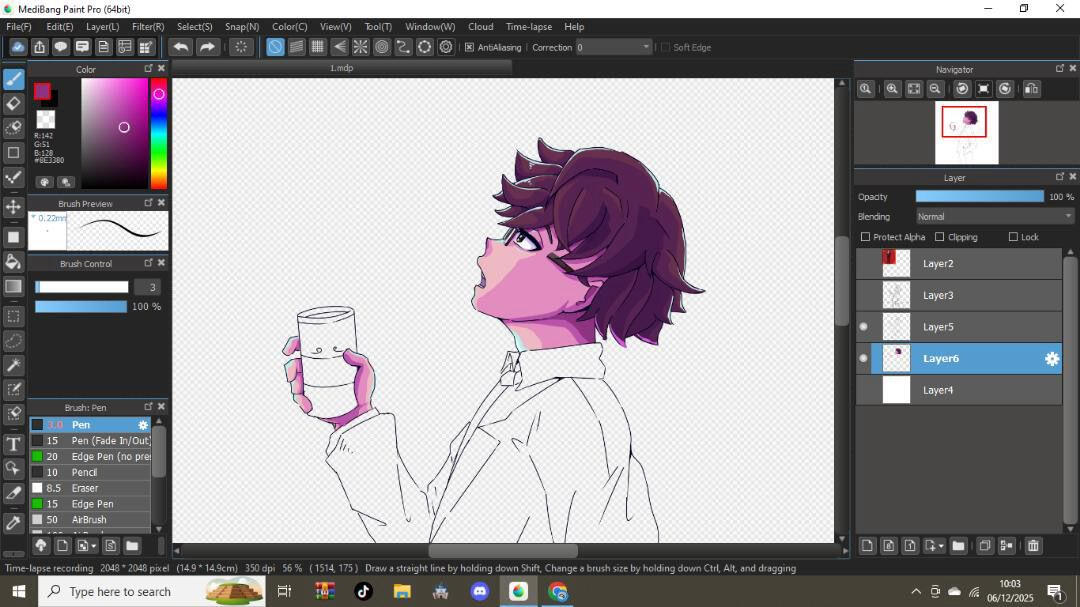 Wip